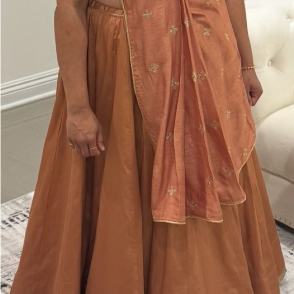 Indian Chaniya Choli